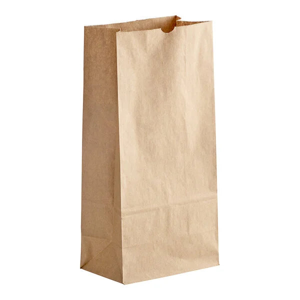 Brown Paper Bags #16