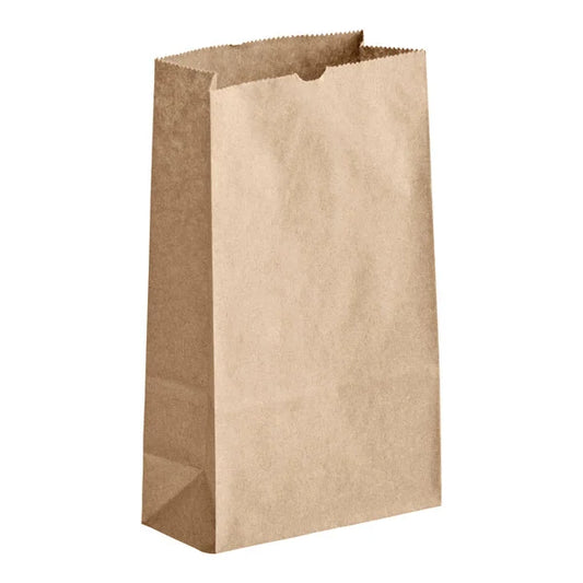 Brown paper bag #2