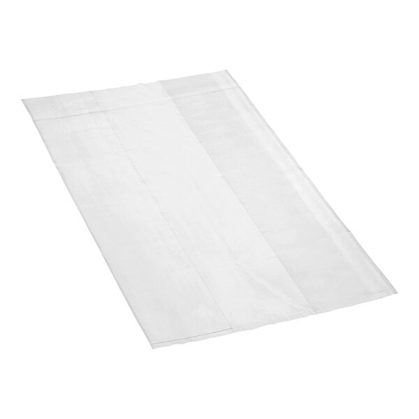 Poly Bag 8X12 2mil