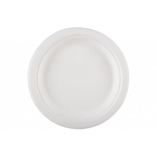 6 Paper Plate Bagasse