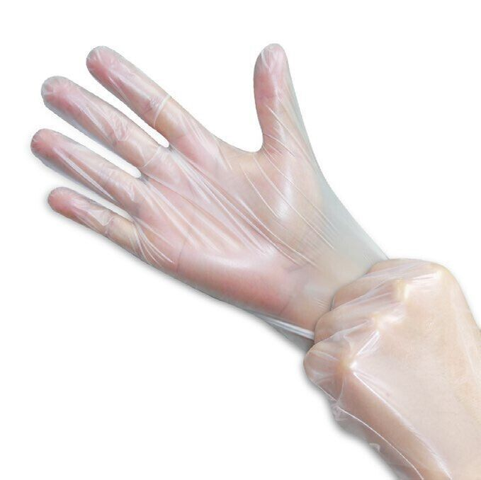 Vinyl Gloves