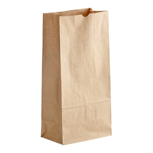 Brown paper bag #6