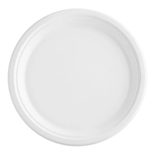 10” White Paper Plate