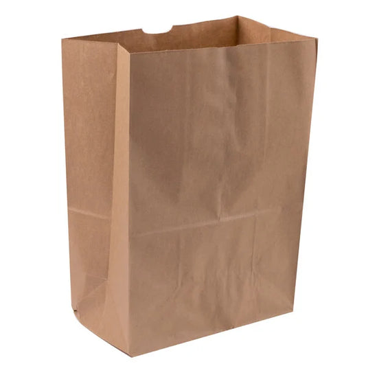 Brown Paper Bag 1/6 #57