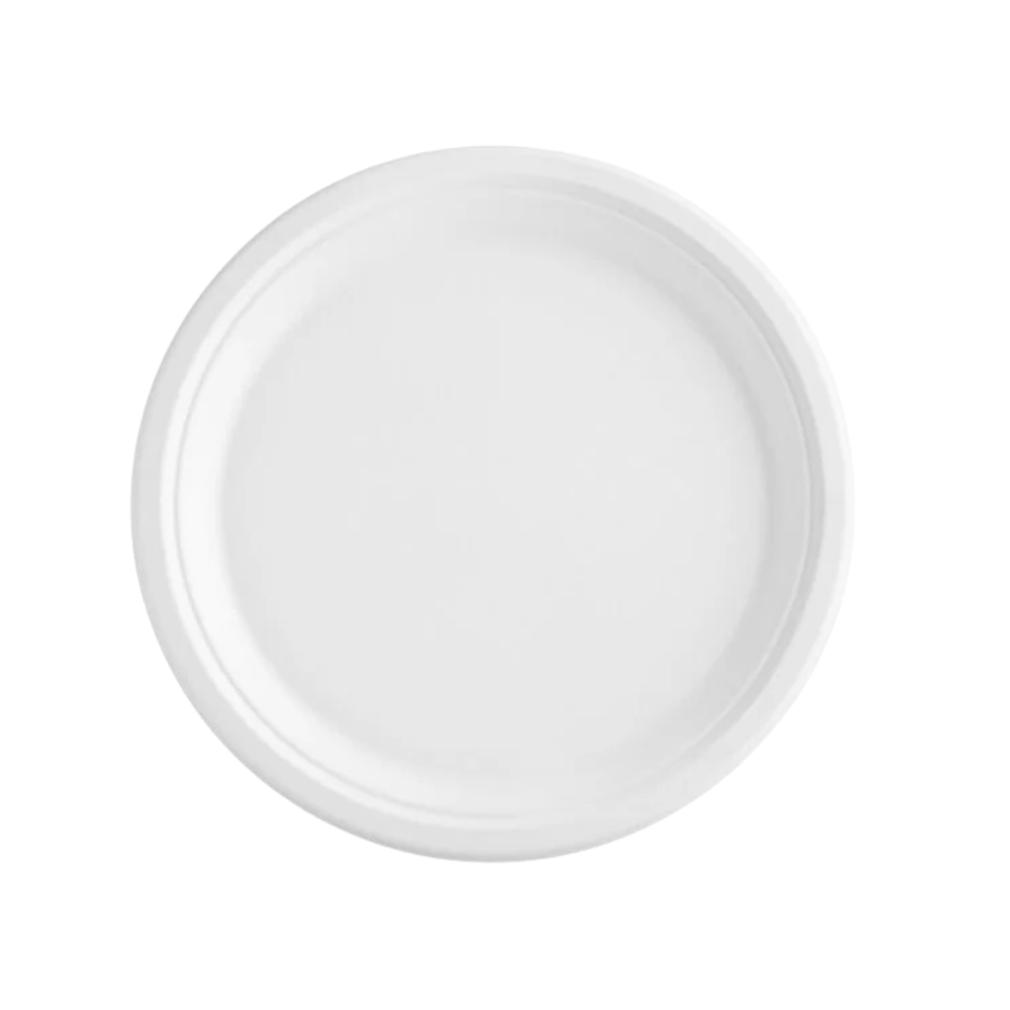 10 Paper Plate Bagasse