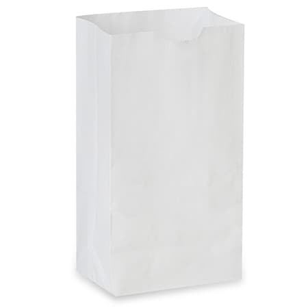 White Paper Bag #20